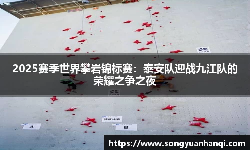 2025赛季世界攀岩锦标赛：泰安队迎战九江队的荣耀之争之夜